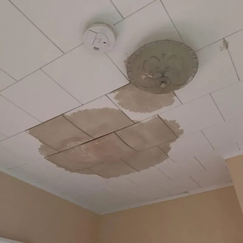 Ceiling Water Damage Repair in Colwich, KS