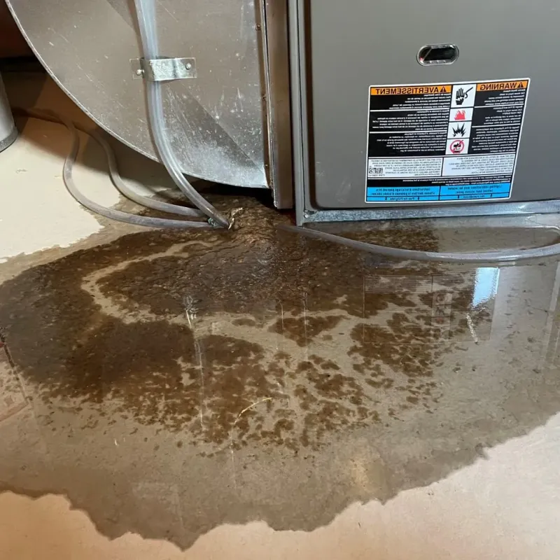 Pipe Burst and Leak Restoration in Colwich, KS