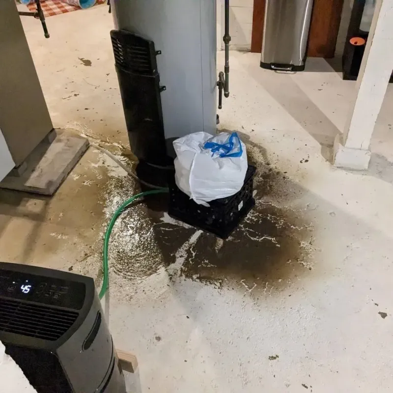 Sewage Backup Cleanup Service in Colwich, KS